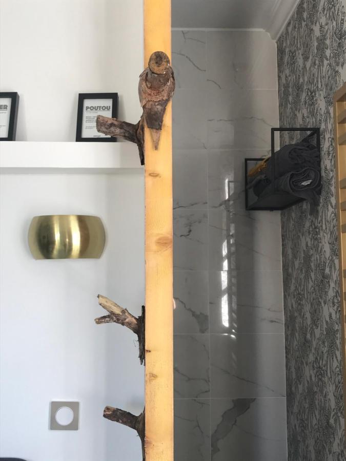 Apartamento La loge 45 AU COEUR DU CENTRE HISTORIQUE DE RODEZ Exterior foto